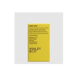 Ashley & Co Mini Bar - Hand & Body Soap