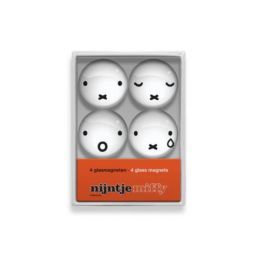 Miffy & Friends Window Box Glass Magnets Miffy Face