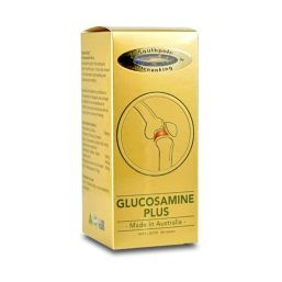 OK GLUCOSAMINE PLUS 100 CAPSULES