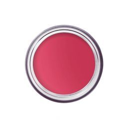 Bobbi Brown Pot Rouge Velvet Matte - Guava Punch