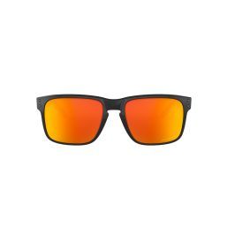 Oakley Holbrook Polarised 9102F1