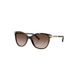 0be4216 300213 57 Dark Havana Brown Gradient