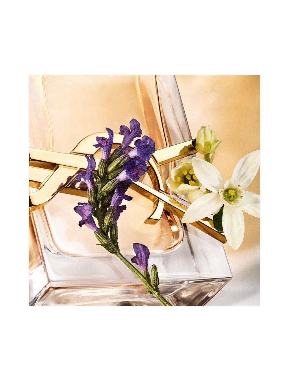 YSL LIBRE EAU DE PARFUM 50ML