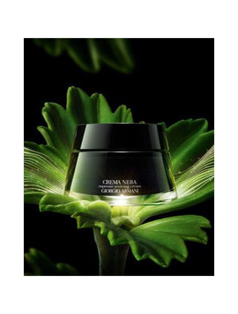 b89414e7-f6ea-4429-8858-